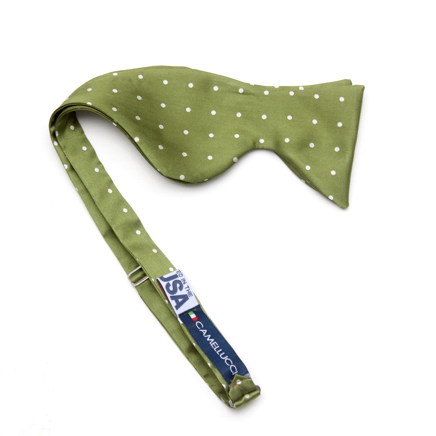 Big Butterfly Bow tie in Green Polka Dot Silk