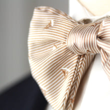 Load image into Gallery viewer, Boat Motive Silk Large Bow Tie
