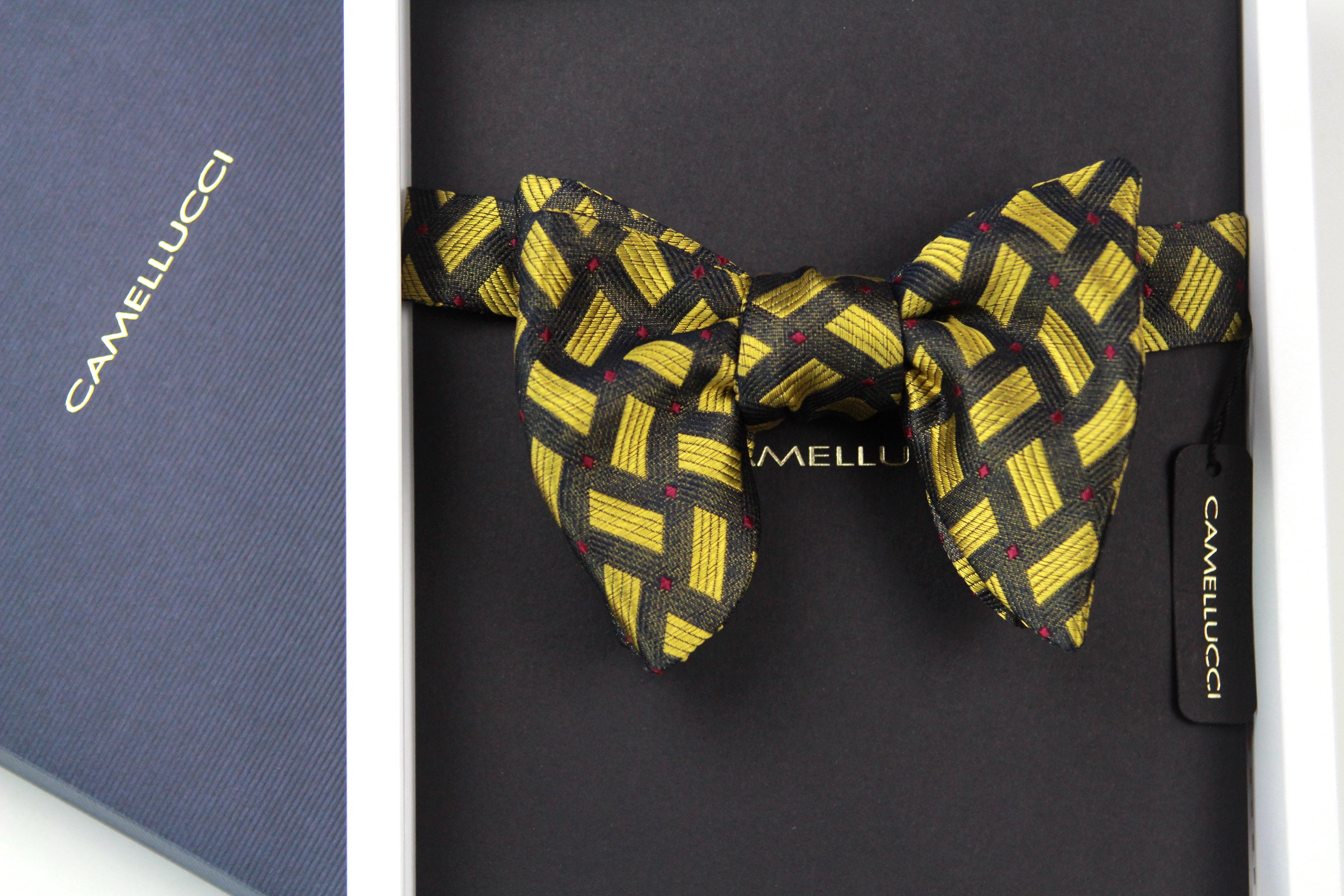 Big Butterfly Silk Bow Tie