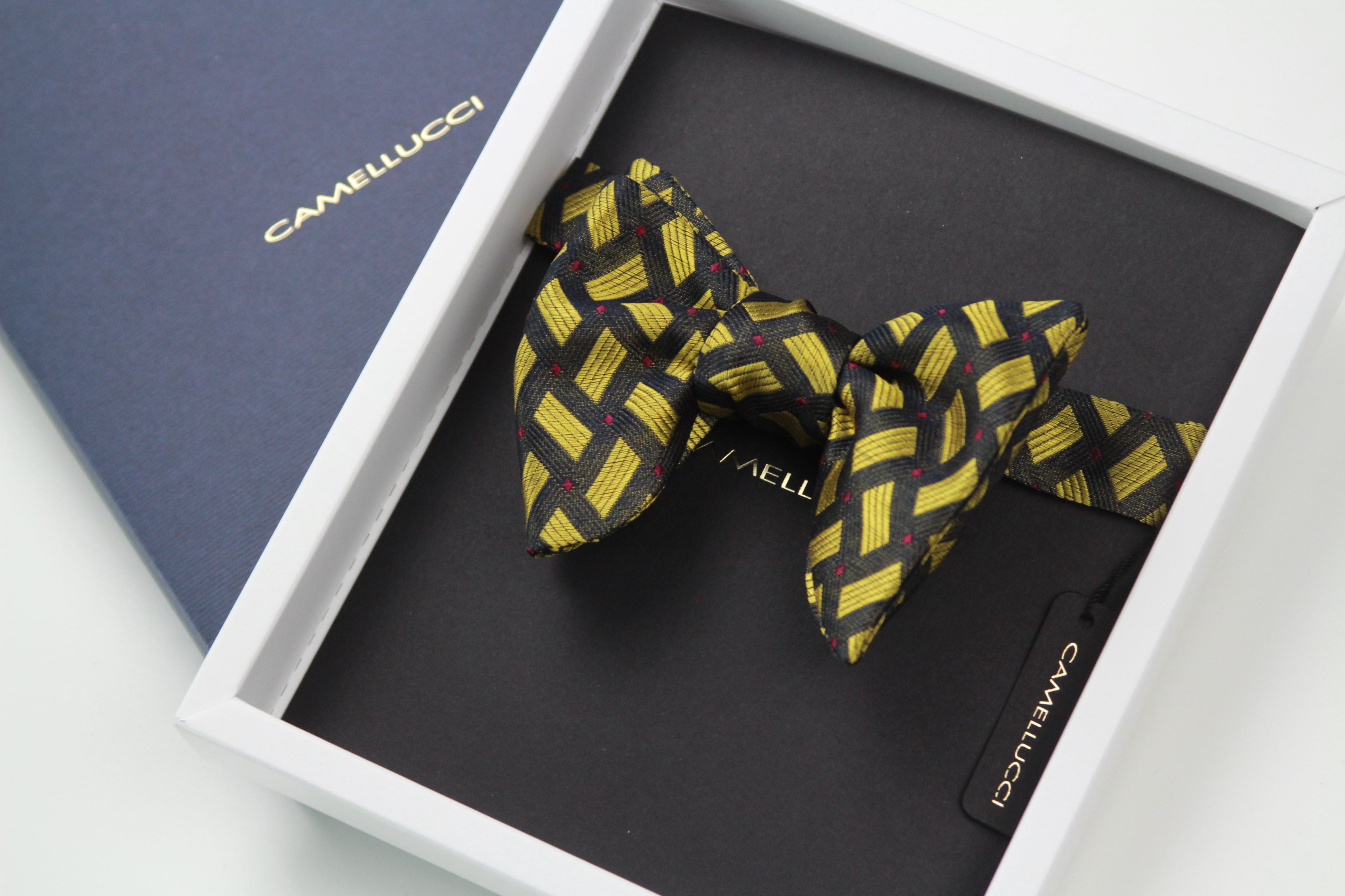 Big Butterfly Silk Bow Tie
