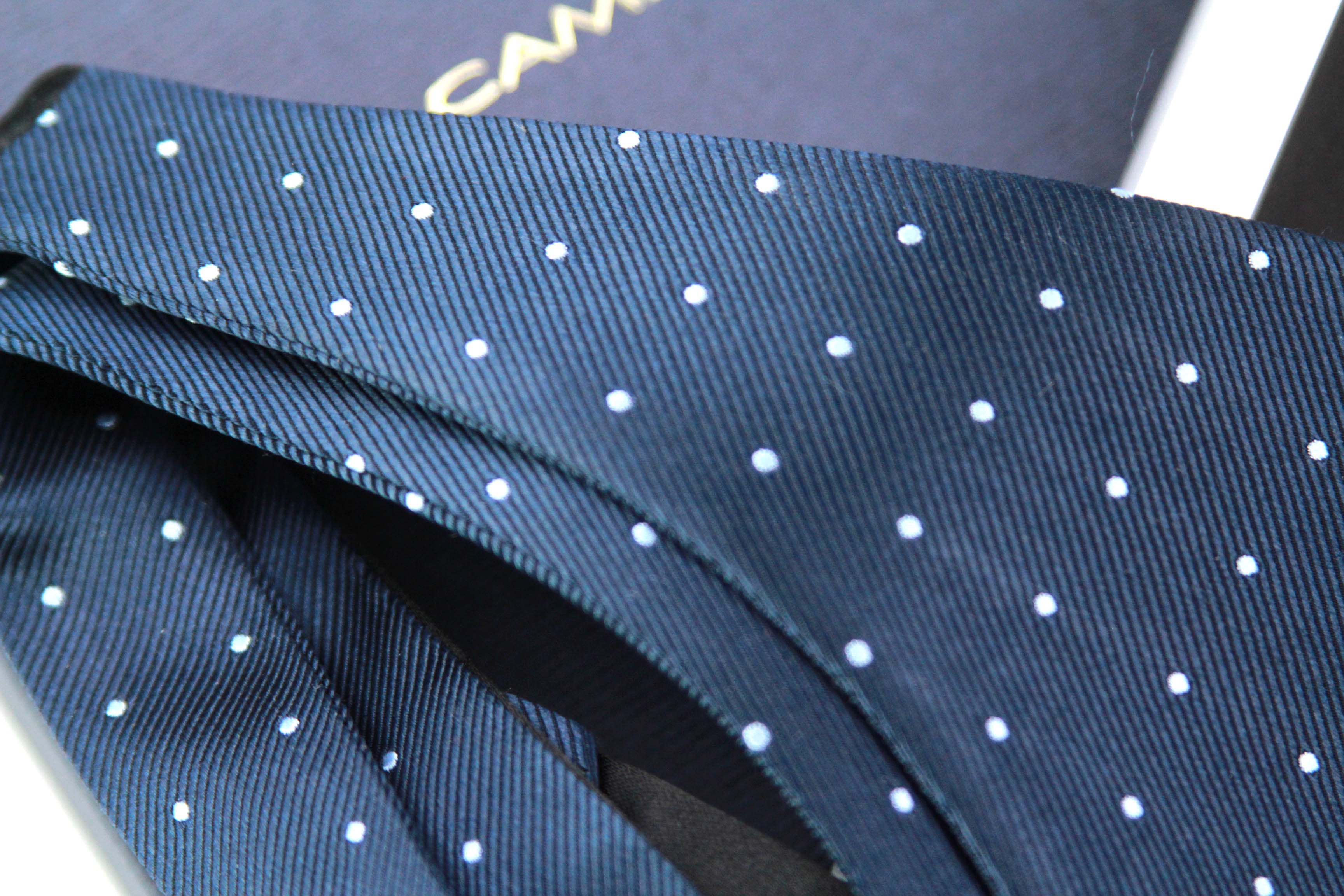 Big Butterfly Navy dusty blue Polka Dot Silk Bow Tie