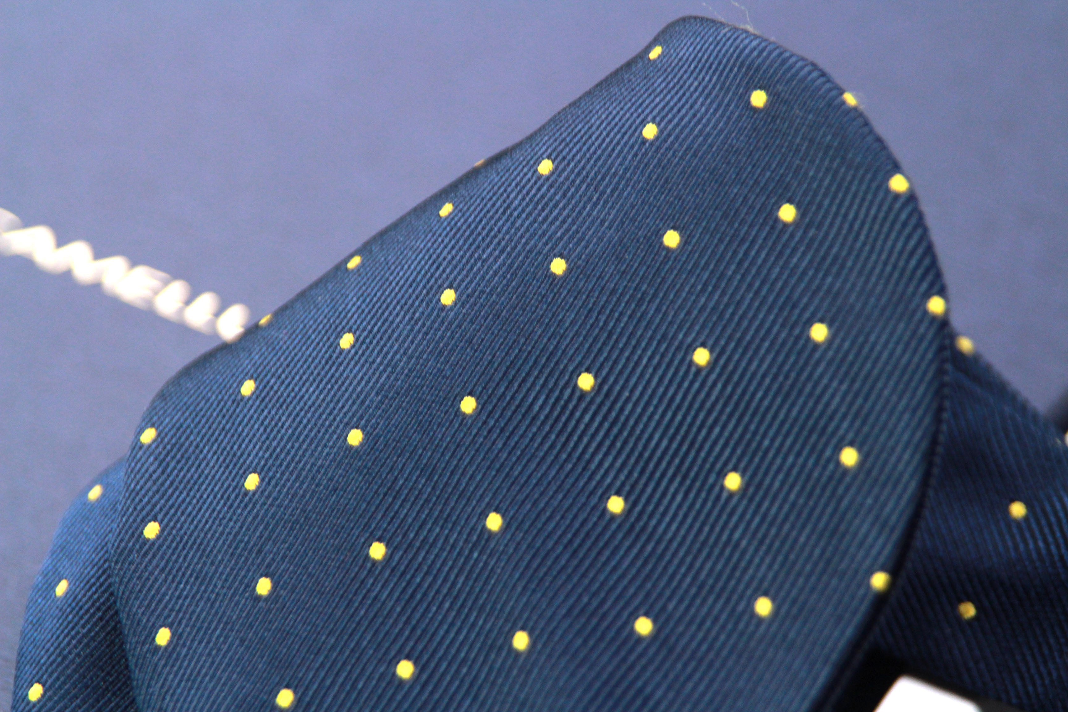 Big Butterfly Navy Yellow  blue Polka Dot Silk Bow Tie