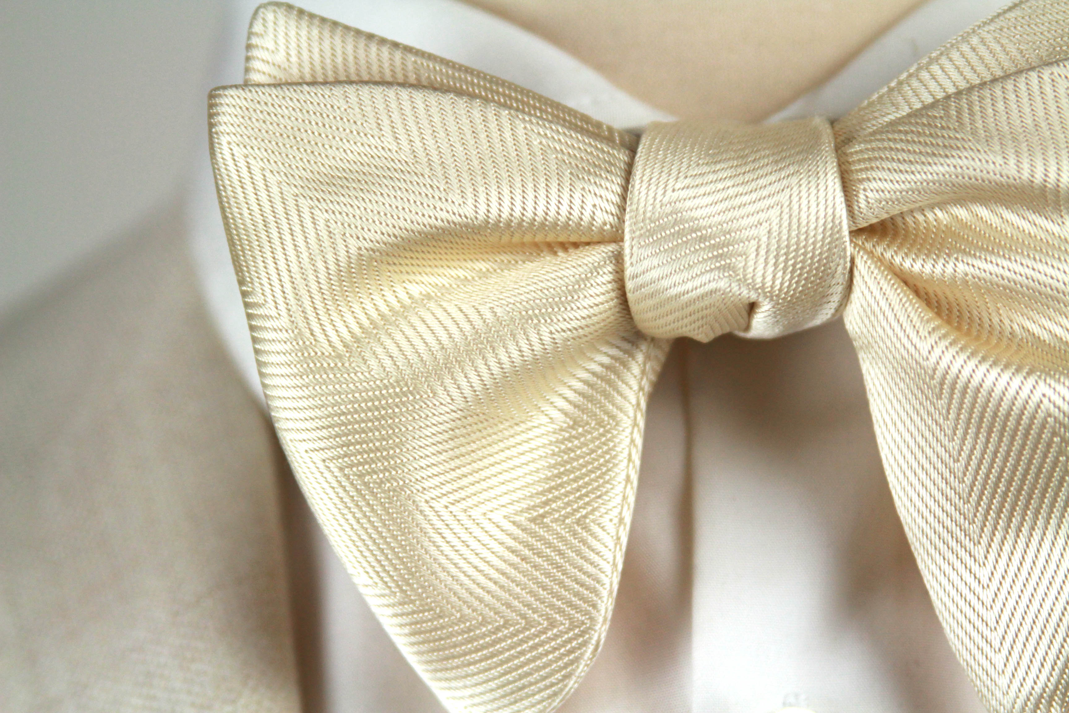 Men's Large Silk Bow Tie