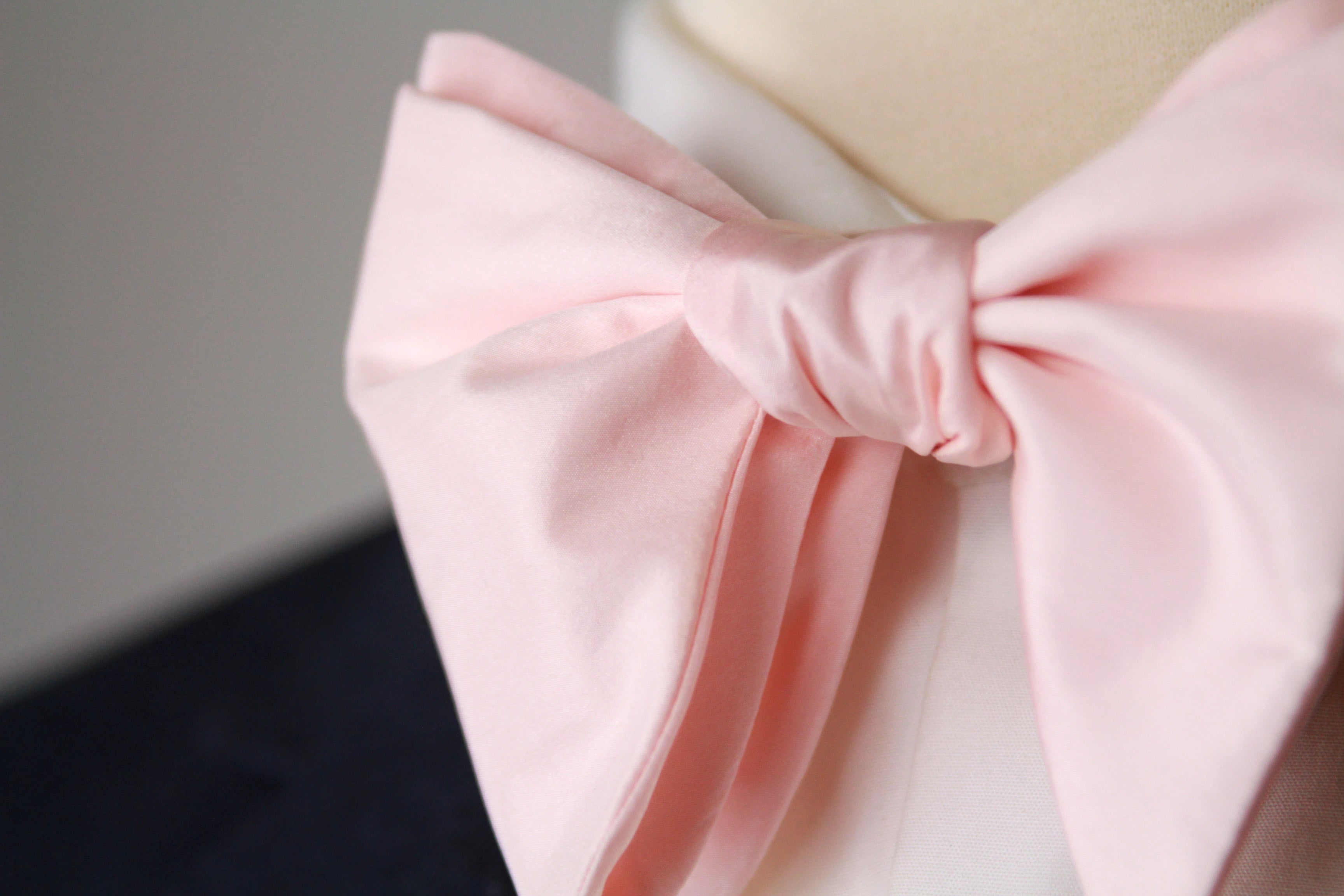 Big Butterfly Silk Bow Tie Rose S703