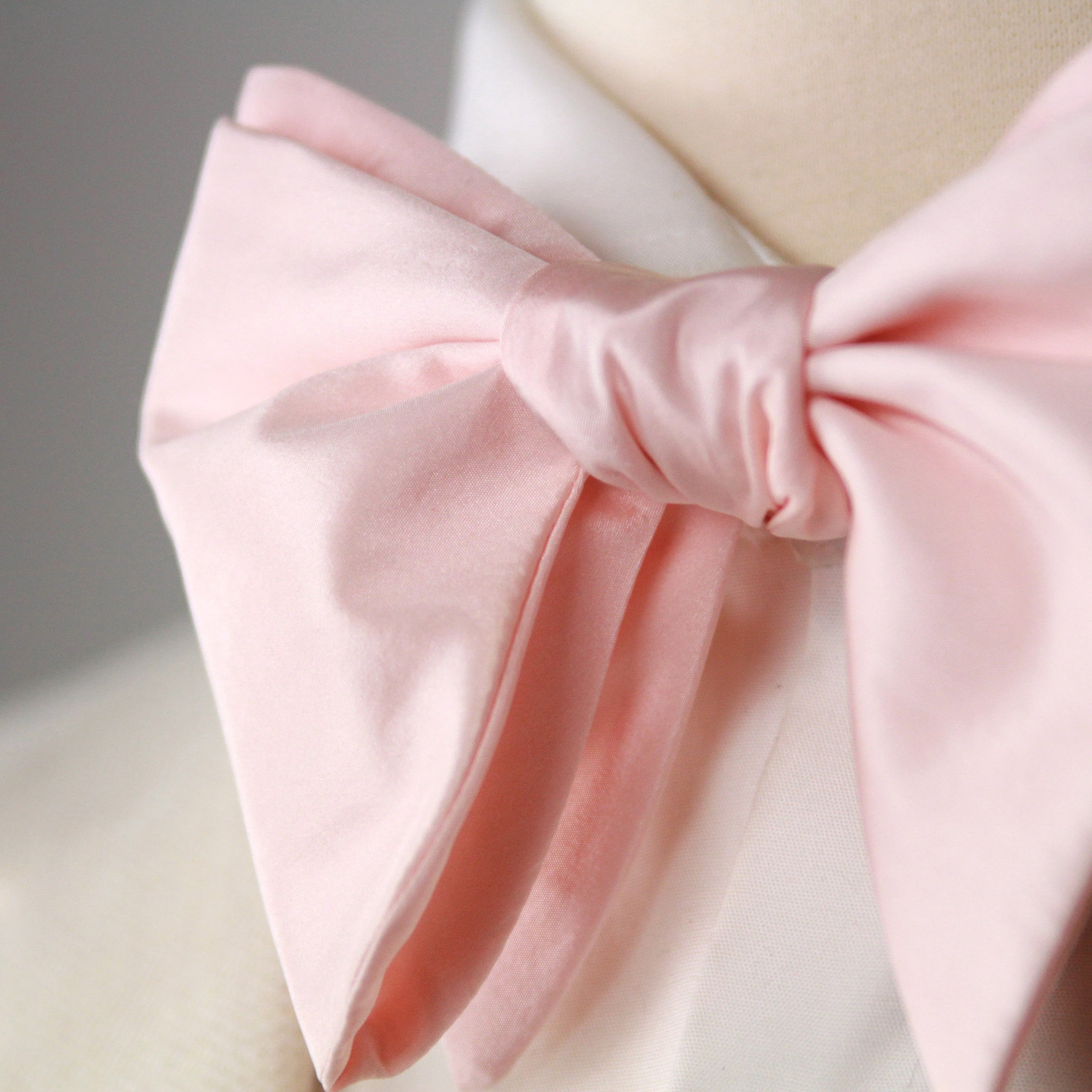Big Butterfly Silk Bow Tie Rose S703