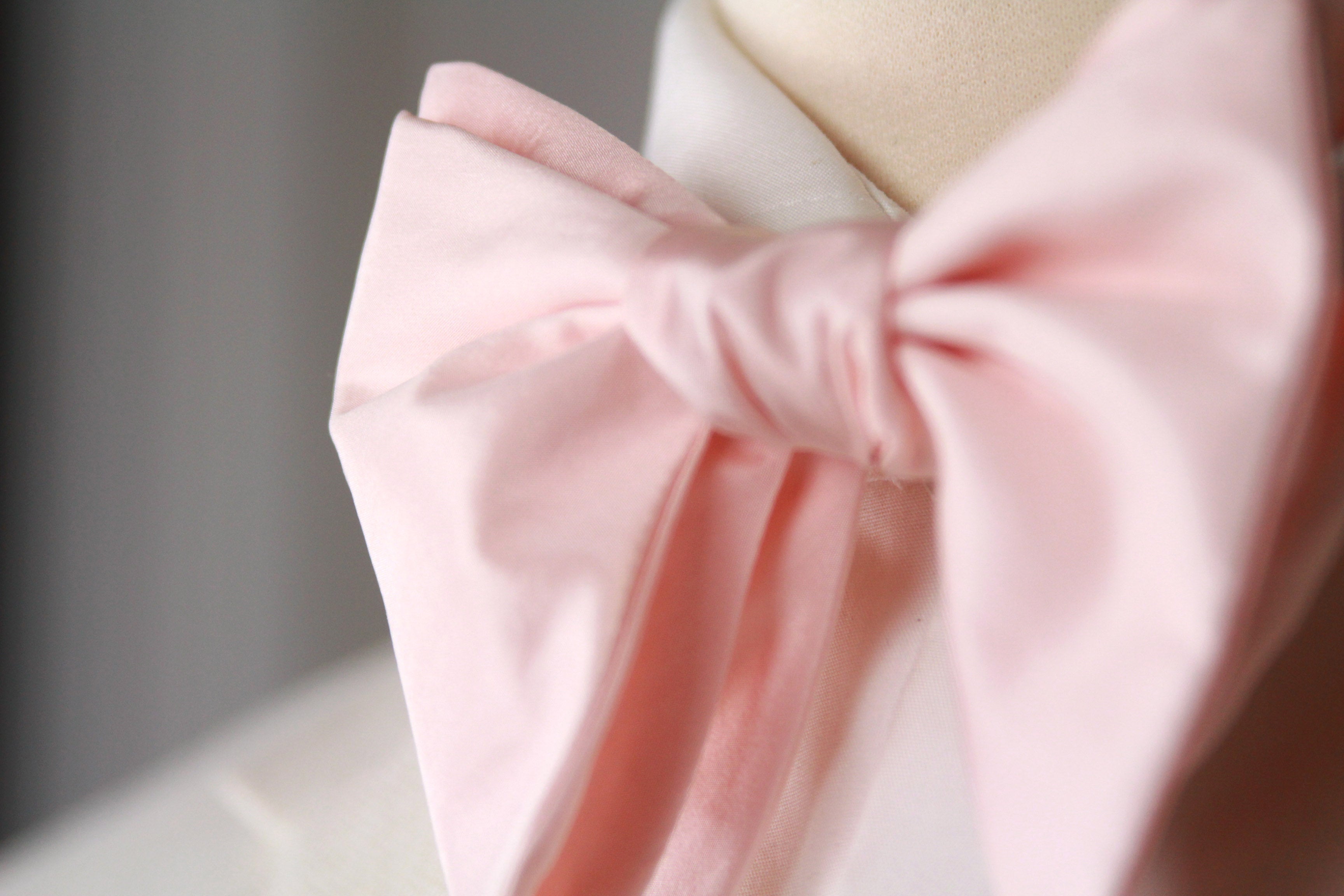 Big Butterfly Silk Bow Tie Rose S703