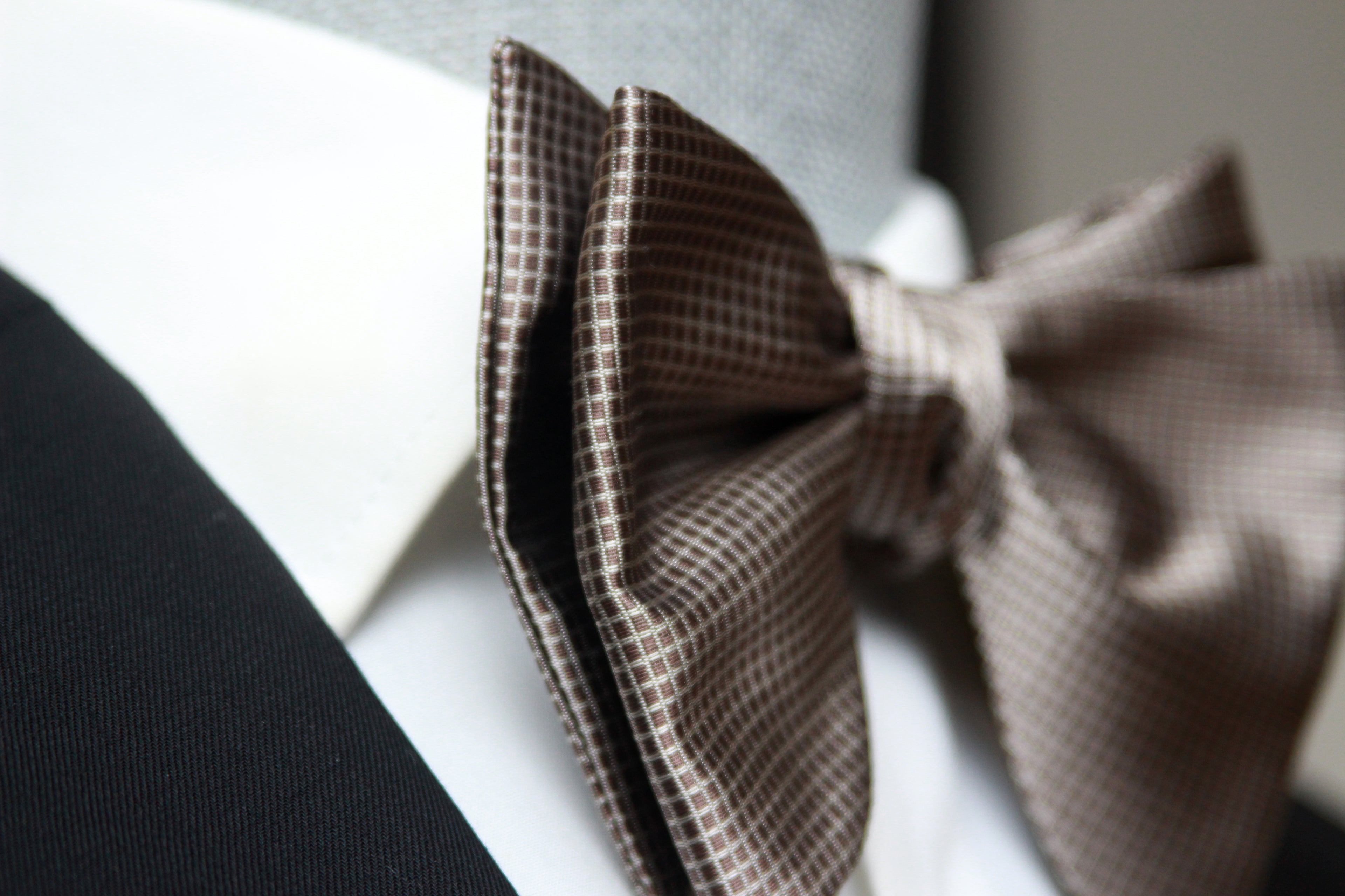 Men's Large Silk Bow Tie