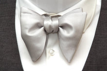 Load image into Gallery viewer, Silver Grey Big Butterfly Bow tie
