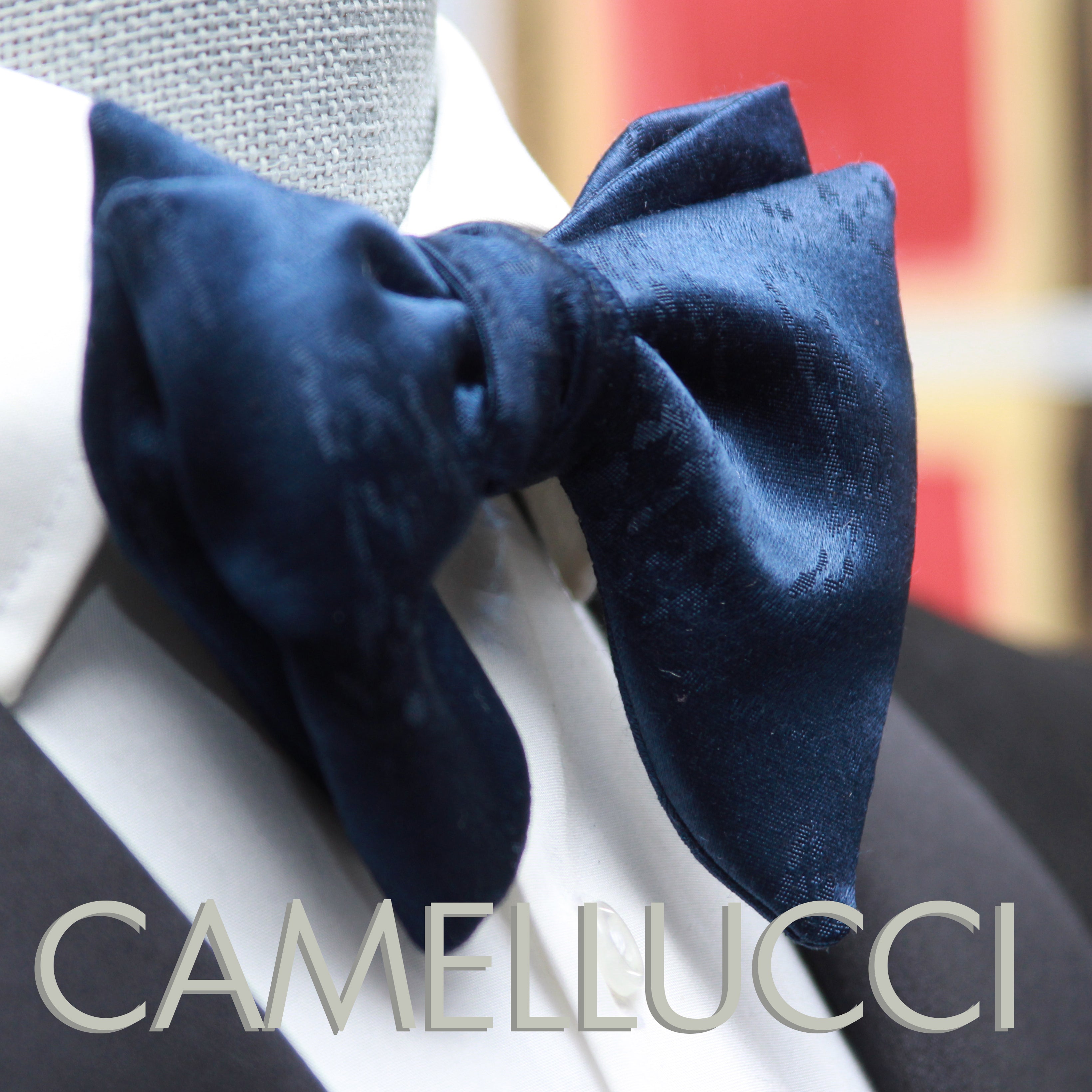 Men's Large Silk Bow Tie