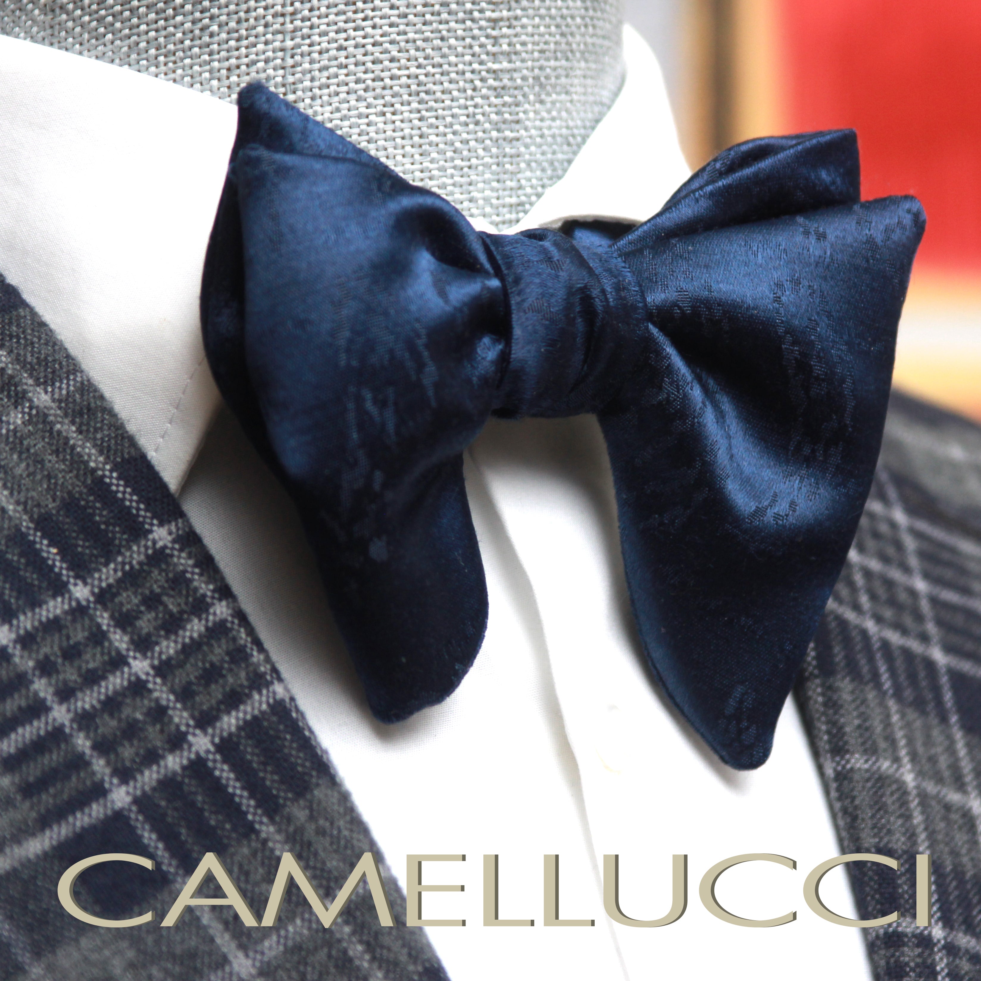 Men's Large Silk Bow Tie