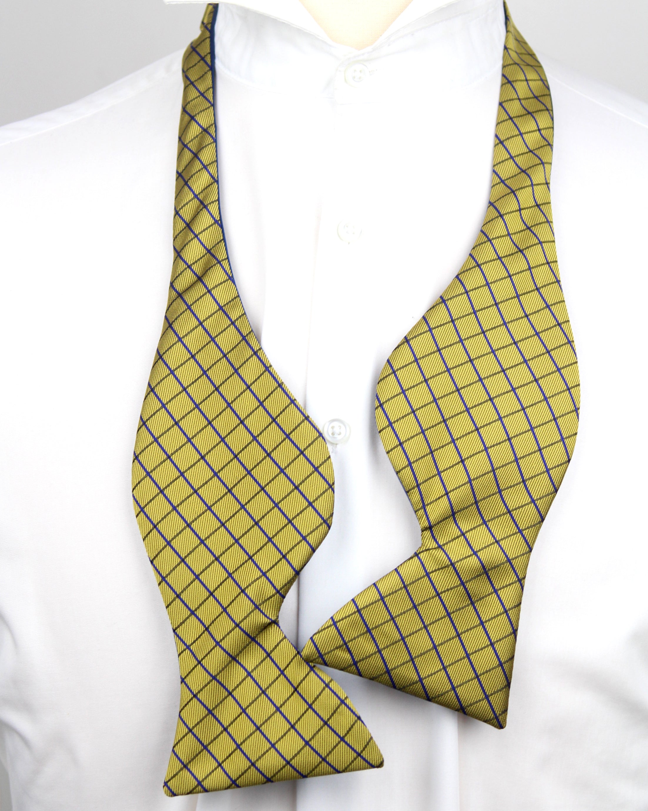 Mustard Blue Big Butterfly Bow tie