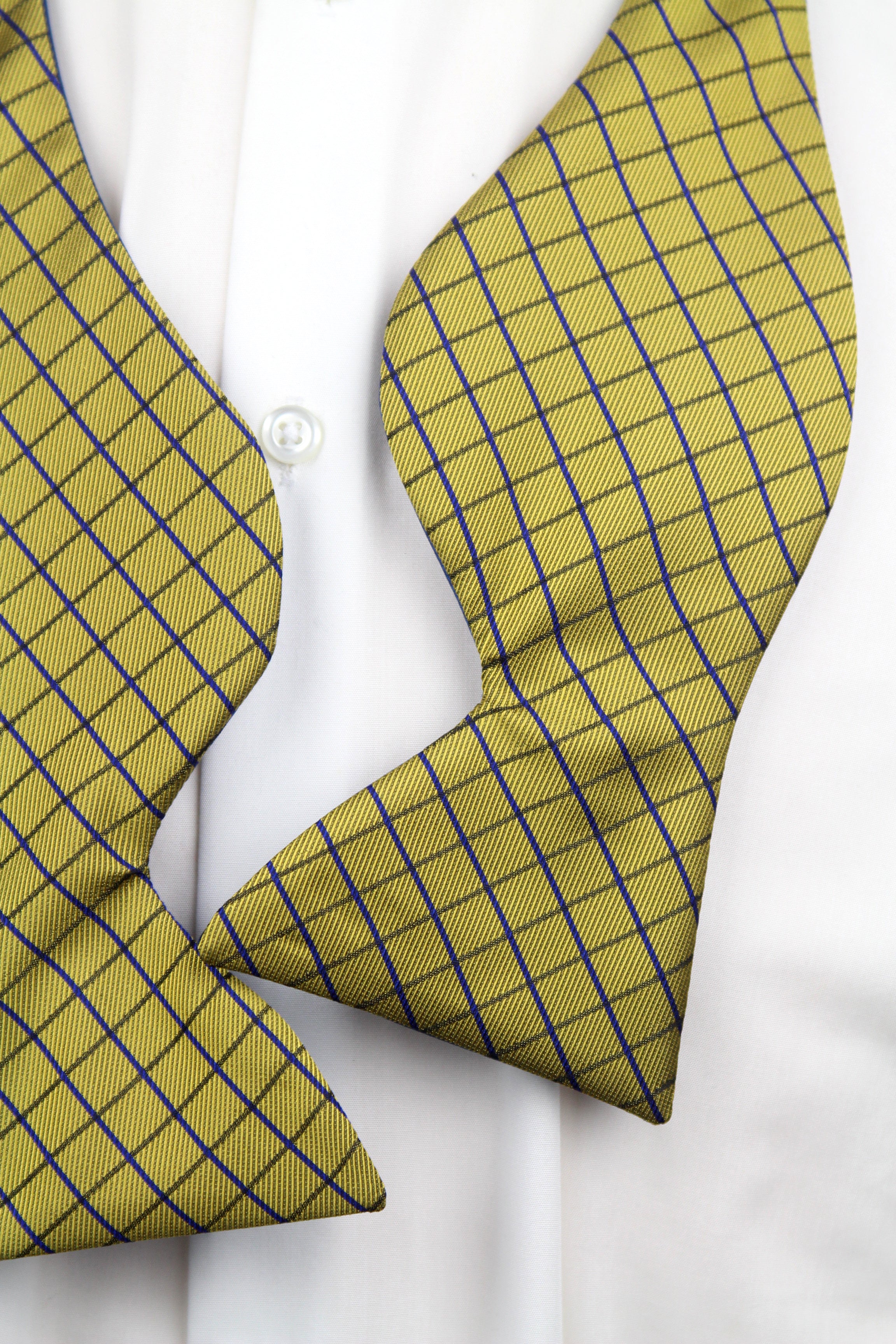 Mustard Blue Big Butterfly Bow tie