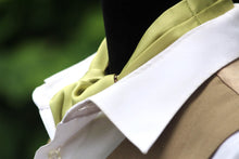 Load image into Gallery viewer, Pistachio Solid Silk Ascot
