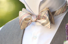 Load image into Gallery viewer, Champagne Stripe Reversible Self-Tie Bow Tie
