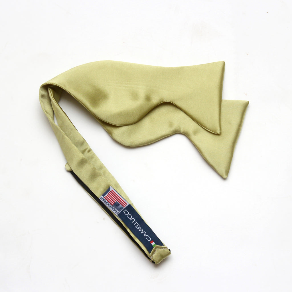 Big Butterfly Silk Bow Tie