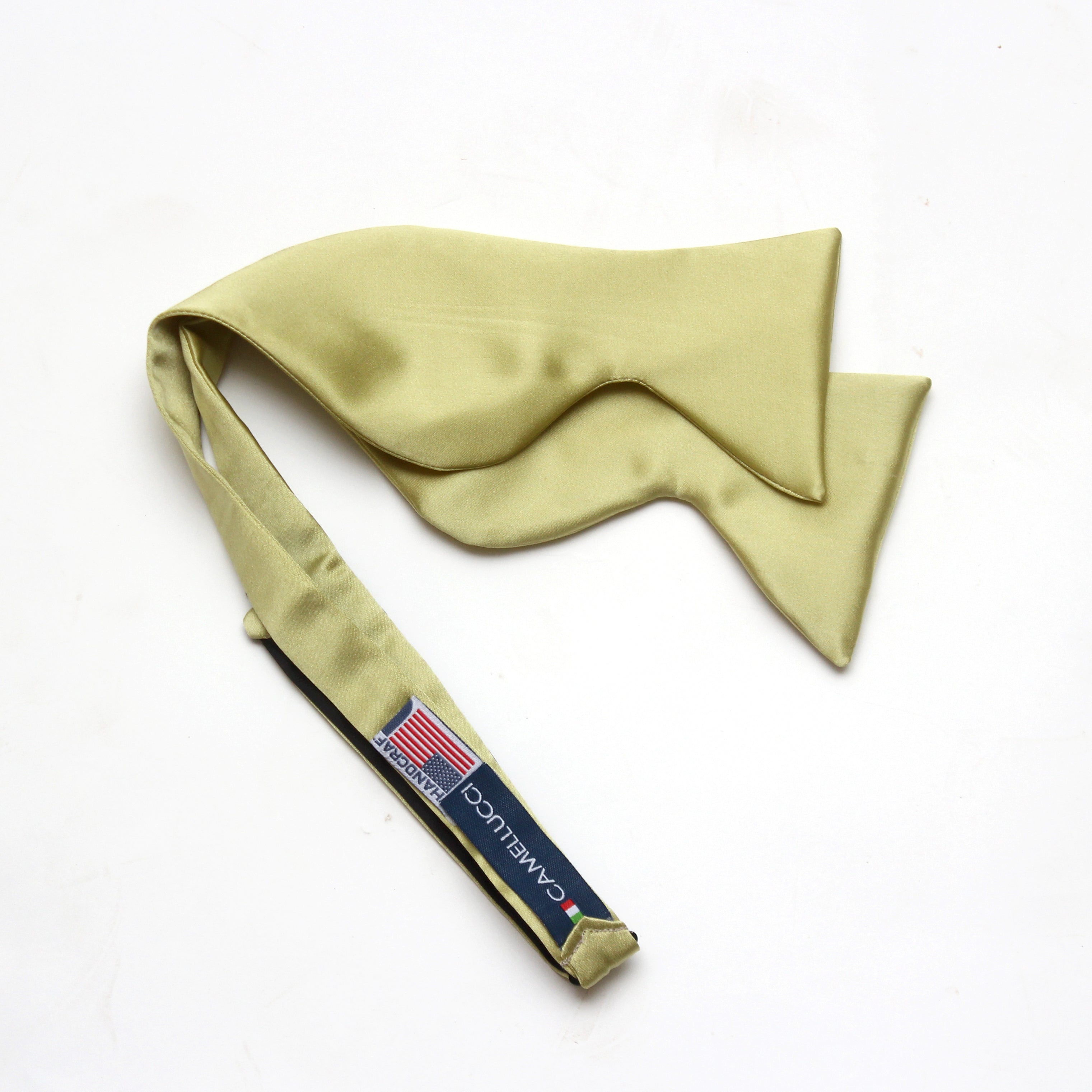 Big Butterfly Silk Bow Tie