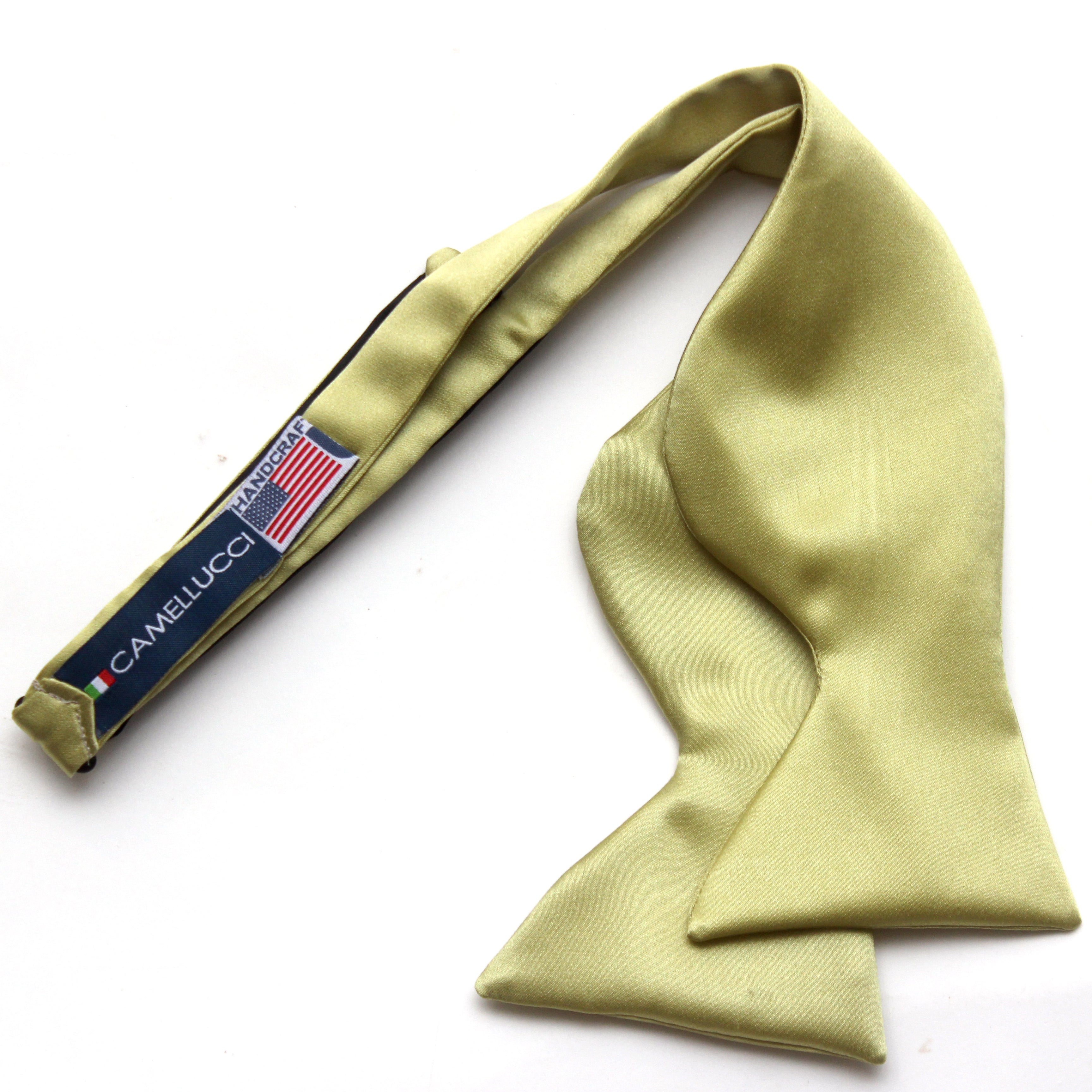 Big Butterfly Silk Bow Tie