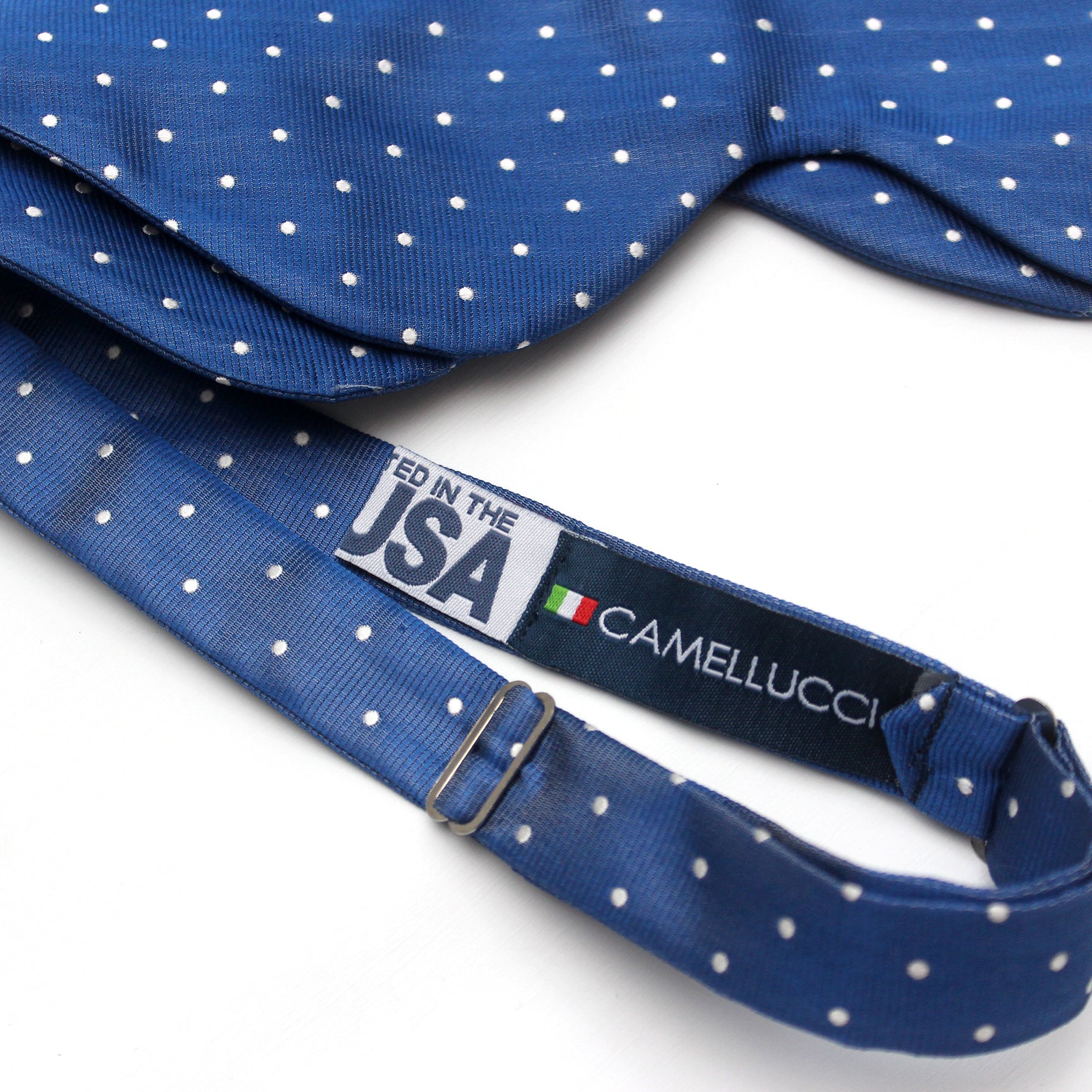 Big Butterfly Blue Polka Dot Bow Tie