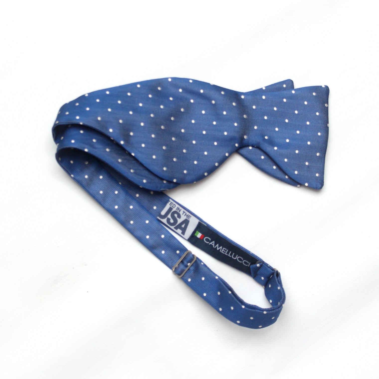 Big Butterfly Blue Polka Dot Bow Tie