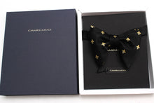 Load image into Gallery viewer, Big Butterfly with Fleur de Lis in Black Silk Bow Tie
