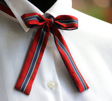 Load image into Gallery viewer, Red Blue Stripe Skinny Scarf
