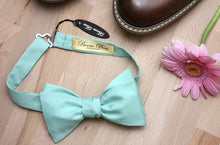 Load image into Gallery viewer, Mint Silk Self-Tie Bow Tie
