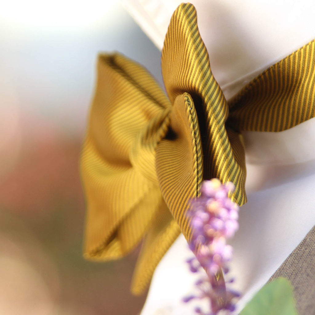 Mustard Gold Self-Tied Silk Bow Tie | Camellucci