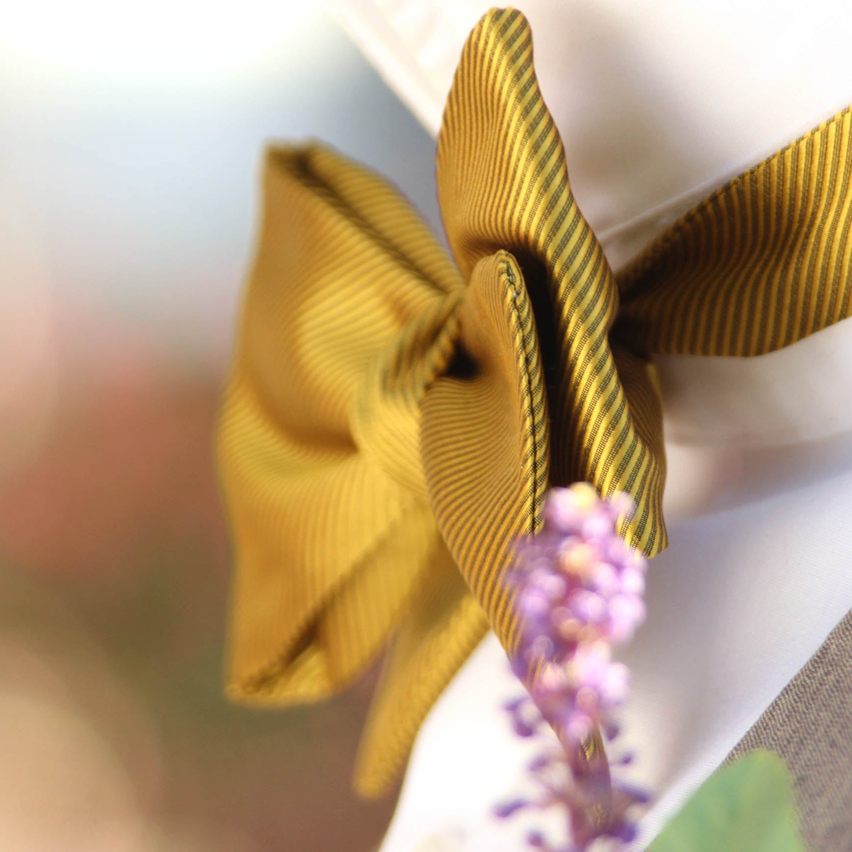 Mustard Gold Self-Tied Silk Bow Tie | Camellucci